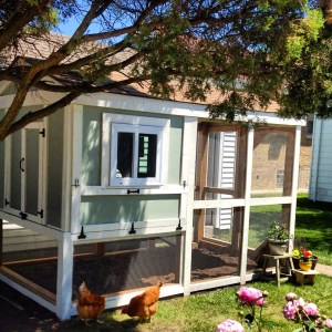 Photo courtesy of Kathleen Gardiner