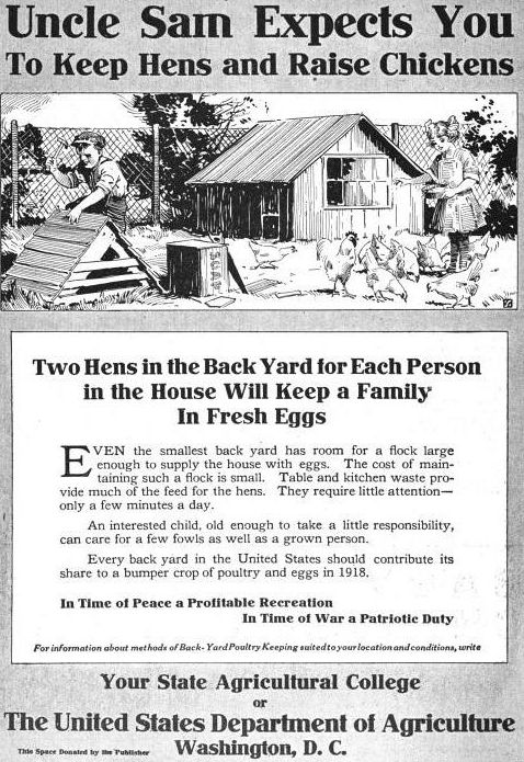uncle-sam-wants-chickens
